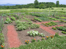 Edible Landscaping with Charlie Nardozzi :: National Gardening 