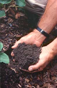 The feel and smell of rich garden soil is unmistakable. How to make it? Organic matter.