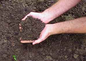 Assess your soil before planting in spring