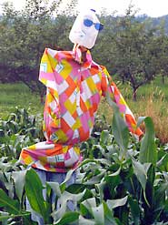 A whimsical scarecrow is fun, but only a modestly effective bird deterrent.