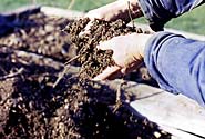 Soil that's loose and open enough to work with your hands is ideal