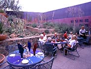 Alfresco dining among native plants at the Ocotillo Cafe.
