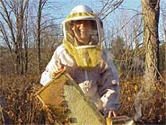 A veil, coveralls, and a smoker are basic tools for beginning beekeepers.