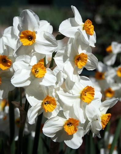 Uploaded by Calif_Sue Uploaded by Calif_Sue