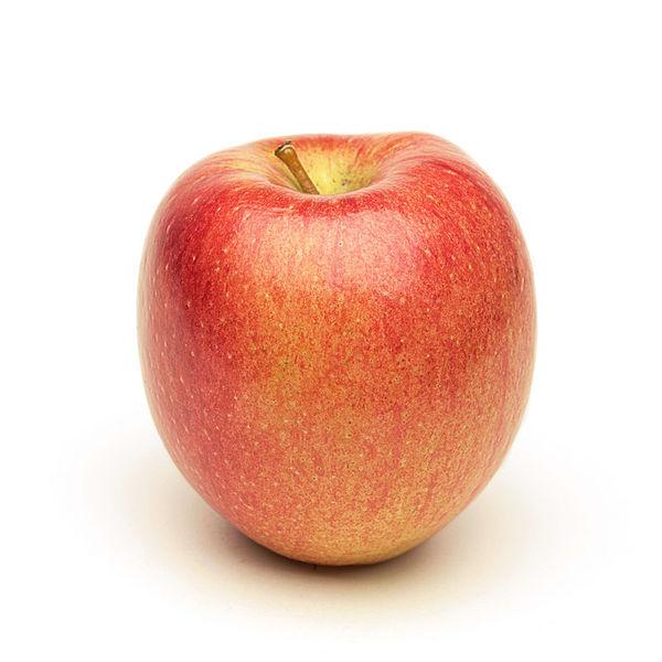 Photo of Apple (Malus domestica 'Braeburn') uploaded by robertduval14