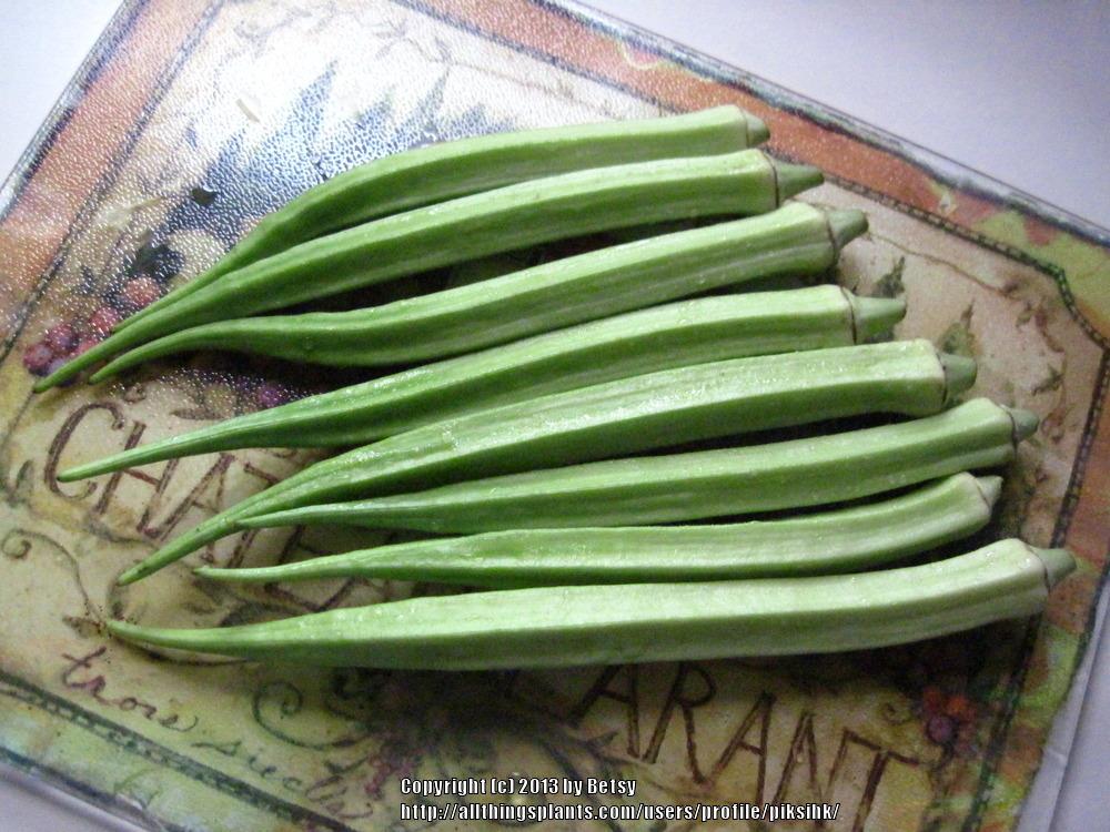Okra Plant Care and Collection of Varieties