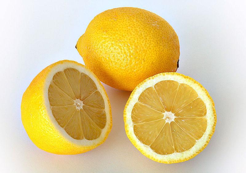 Photo of Lemon (Citrus x limon) uploaded by robertduval14