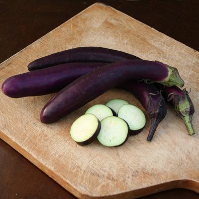 Photo of Eggplant (Solanum melongena 'Purple Comet') uploaded by vic