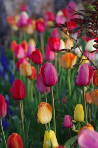 Uploaded by dirtdorphins Uploaded by dirtdorphins