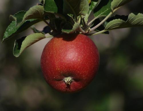 Uploaded by dirtdorphins Uploaded by dirtdorphins