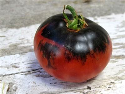 Photo of Tomato (Solanum lycopersicum 'Indigo Apple') uploaded by Joy