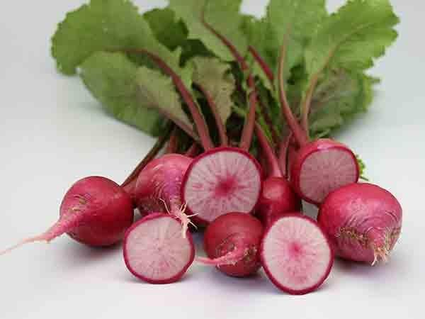 Photo of Turnip (Brassica rapa subsp. rapa 'Red Round') uploaded by Joy