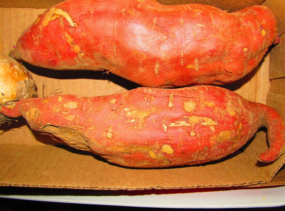 Photo of Sweet Potatoes (Ipomoea batatas) uploaded by jmorth