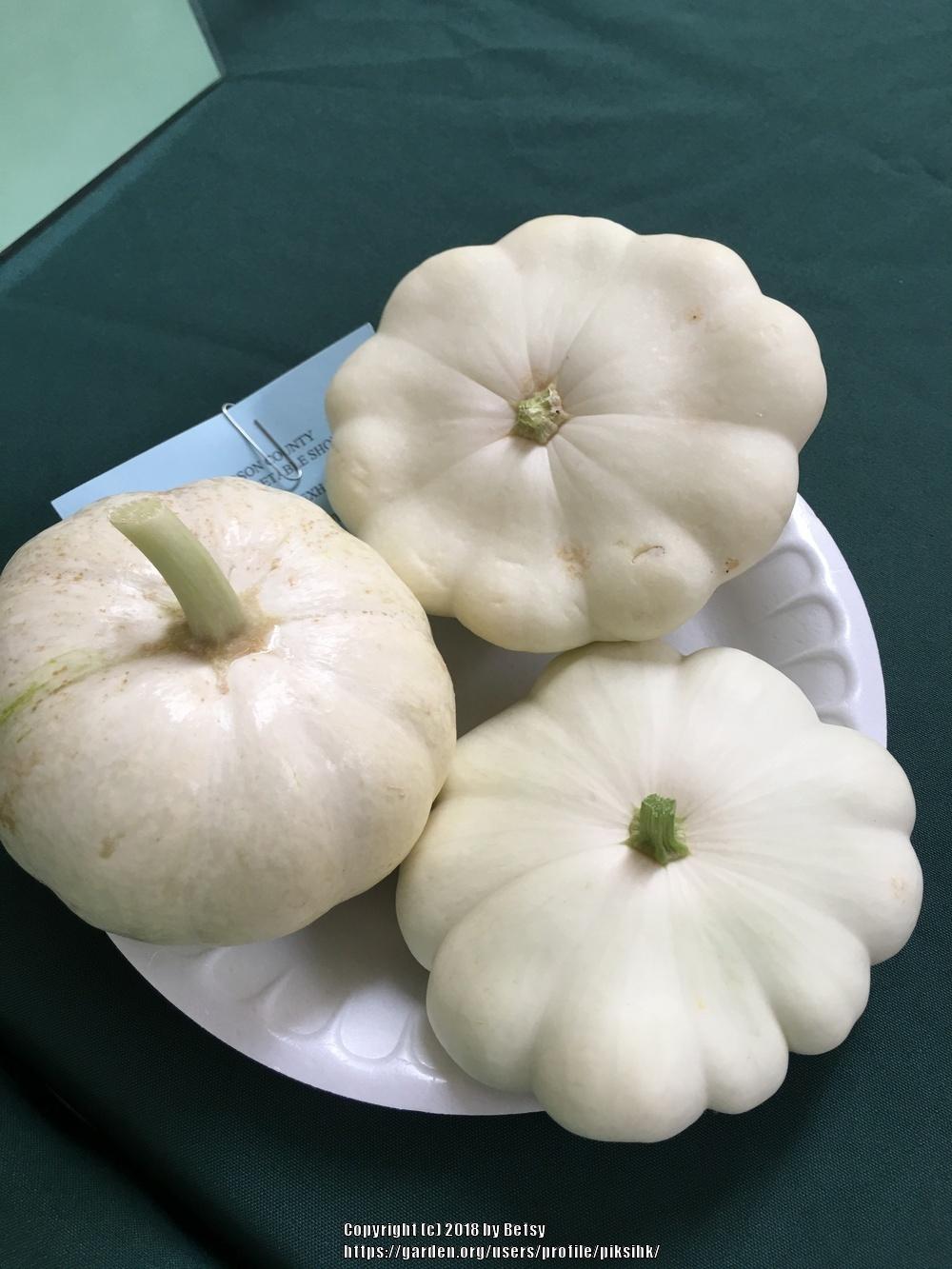 Photo of Gourds, Squashes and Pumpkins (Cucurbita) uploaded by piksihk