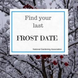 Find your last frost date