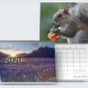 2020 National Gardening Association Calendar Now Available