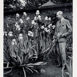 Location: caption: Purissima growing in Mr. Geoffrey Pilkington's garden, Liverpool, England.  Mr. Pilkington is 6 ft. 1 in. tall.
Date: c. 1932
photo from the 1932 catalog, Carl Salbach, Berkeley, California