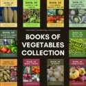 Now available: National Gardening Books of Vegetables Collection