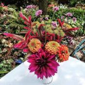 2021 Sept Fall bouquet including Tall Verbena (Verbena bonariensi