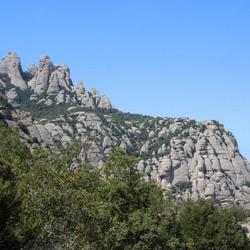 Location: Parc Natural de la Muntanya de Montserrat (Spain)
Date: 2022-04-18
Montserrat. Home of Quercus ilex, Buxus sempervirens, Narcissus a
