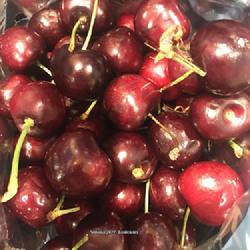 Location: Fairfax, VA | July, 2022
Date: 2022-07-17
cerise cherry