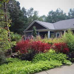 Location: my garden in Dawsonville, GA (zone 7b north Geogia mountains)
Date: 2022-09-16