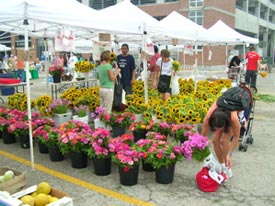 Last stop at the farmers' market is for fresh flowers.