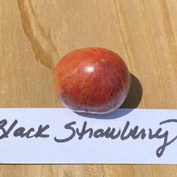 Location: Sioux Falls, South Dakota
Date: Summer 2022
A Black Strawberry tomato - CElisabeth