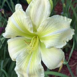 Uploaded by Zoia Uploaded by Zoia