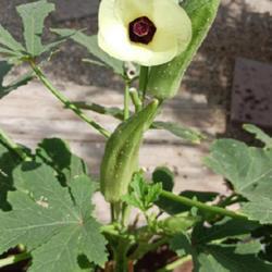 Uploaded by landassic Uploaded by landassic