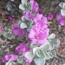Uploaded by landassic Uploaded by landassic