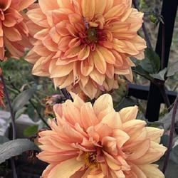 Uploaded by JimKlaiber Uploaded by JimKlaiber